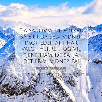 Picture 07 - Josvas 24:22 NORSK - Da sa Josva til folket: Så er I da selv vidner - Bible Verse Picture
