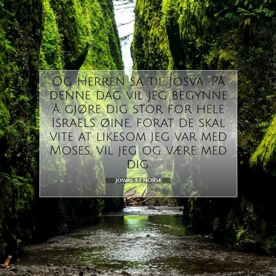 Picture 07 - Josvas 3:7 NORSK - Og Herren sa til Josva: På denne dag vil jeg - Bible Verse Picture