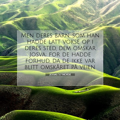 Picture 07 - Josvas 5:7 NORSK - Men deres barn, som han hadde latt vokse op i - Bible Verse Picture