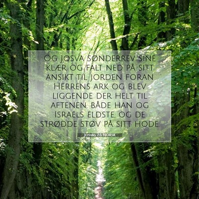 Picture 07 - Josvas 7:6 NORSK - Og Josva sønderrev sine klær og falt ned på - Bible Verse Picture