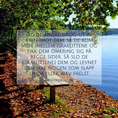 Picture 07 - Josvas 8:22 NORSK - Og de andre drog ut av byen imot dem, så de kom - Bible Verse Picture