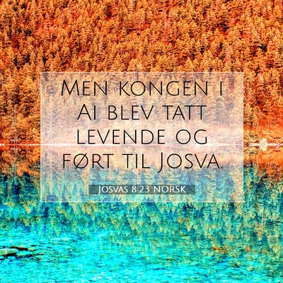 Picture 07 - Josvas 8:23 NORSK - Men kongen i Ai blev tatt levende og ført til - Bible Verse Picture