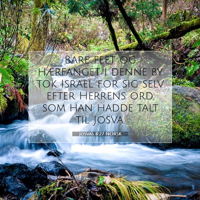 Picture 07 - Josvas 8:27 NORSK - Bare feet og hærfanget i denne by tok Israel for - Bible Verse Picture