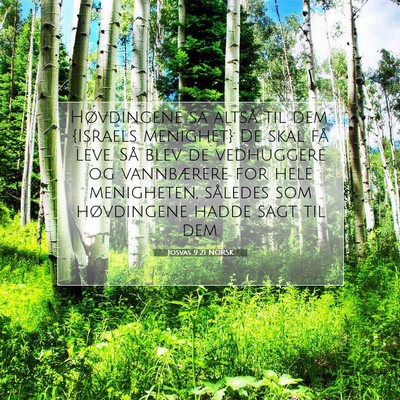 Picture 07 - Josvas 9:21 NORSK - Høvdingene sa altså til dem: {Israels menighet} - Bible Verse Picture
