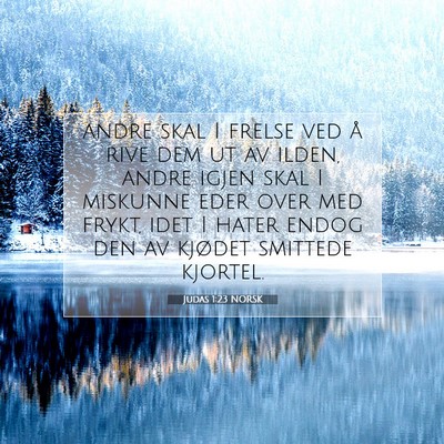 Picture 07 - Judas 1:23 NORSK - andre skal I frelse ved å rive dem ut av ilden, - Bible Verse Picture