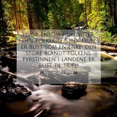 Picture 07 - Klagesangene 1:1 NORSK - Hvor ensom hun sitter, den folkerike stad! Hun er - Bible Verse Picture
