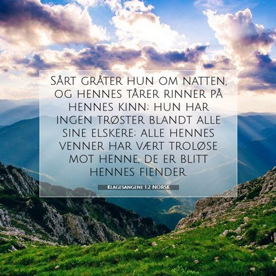Picture 07 - Klagesangene 1:2 NORSK - Sårt gråter hun om natten, og hennes tårer - Bible Verse Picture