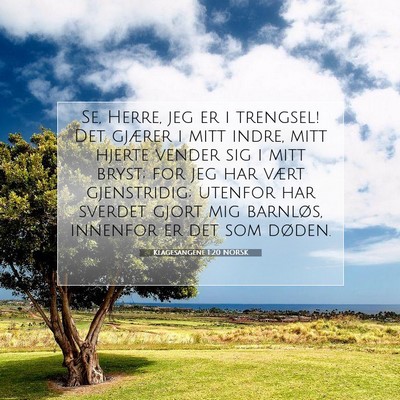 Picture 07 - Klagesangene 1:20 NORSK - Se, Herre, jeg er i trengsel! Det gjærer i mitt - Bible Verse Picture