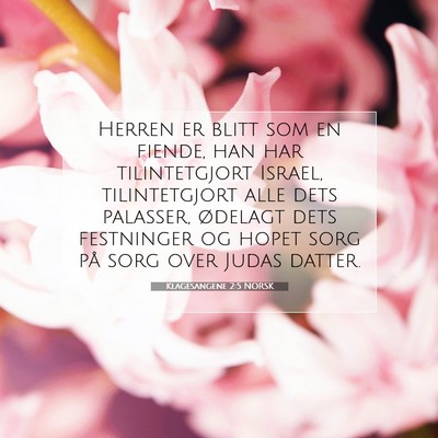 Picture 07 - Klagesangene 2:5 NORSK - Herren er blitt som en fiende, han har - Bible Verse Picture