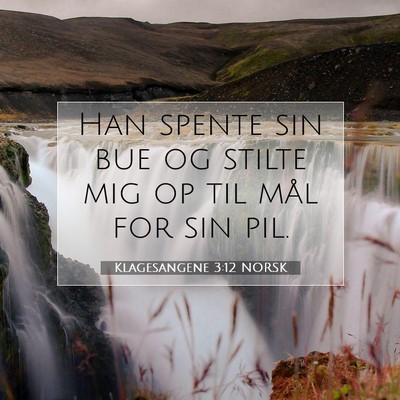Picture 07 - Klagesangene 3:12 NORSK - Han spente sin bue og stilte mig op til mål for - Bible Verse Picture