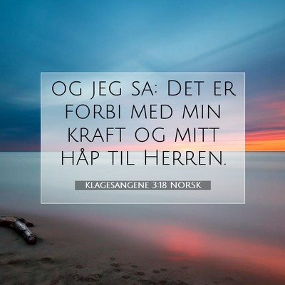 Picture 07 - Klagesangene 3:18 NORSK - og jeg sa: Det er forbi med min kraft og mitt - Bible Verse Picture