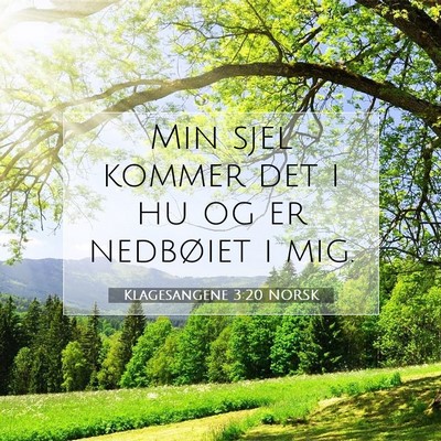 Picture 07 - Klagesangene 3:20 NORSK - Min sjel kommer det i hu og er nedbøiet i - Bible Verse Picture