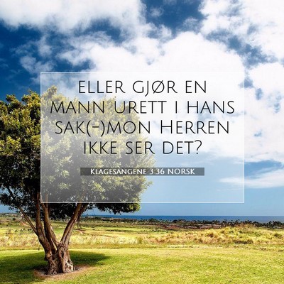 Picture 07 - Klagesangene 3:36 NORSK - eller gjør en mann urett i hans sak(-)mon Herren - Bible Verse Picture