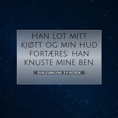 Picture 07 - Klagesangene 3:4 NORSK - Han lot mitt kjøtt og min hud fortæres; han - Bible Verse Picture