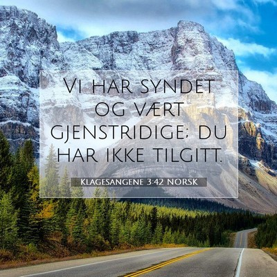 Picture 07 - Klagesangene 3:42 NORSK - Vi har syndet og vært gjenstridige; du har ikke - Bible Verse Picture
