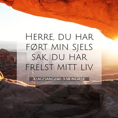 Picture 07 - Klagesangene 3:58 NORSK - Herre, du har ført min sjels sak, du har frelst - Bible Verse Picture