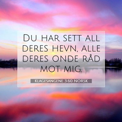 Picture 07 - Klagesangene 3:60 NORSK - Du har sett all deres hevn, alle deres onde råd - Bible Verse Picture