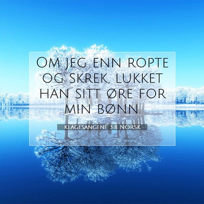 Picture 07 - Klagesangene 3:8 NORSK - Om jeg enn ropte og skrek, lukket han sitt øre - Bible Verse Picture