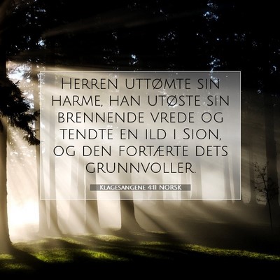 Picture 07 - Klagesangene 4:11 NORSK - Herren uttømte sin harme, han utøste sin - Bible Verse Picture