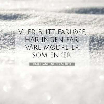 Picture 07 - Klagesangene 5:3 NORSK - Vi er blitt farløse, har ingen far; våre mødre - Bible Verse Picture