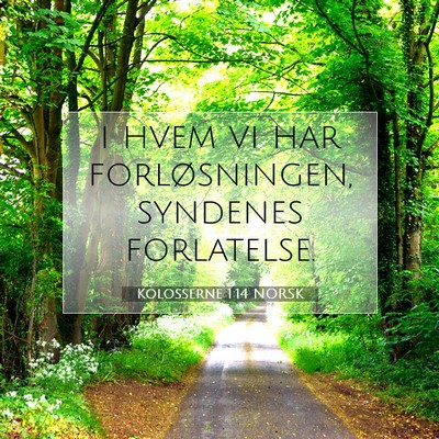 Picture 07 - Kolosserne 1:14 NORSK - i hvem vi har forløsningen, syndenes - Bible Verse Picture