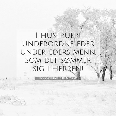 Picture 07 - Kolosserne 3:18 NORSK - I hustruer! underordne eder under eders menn, som - Bible Verse Picture