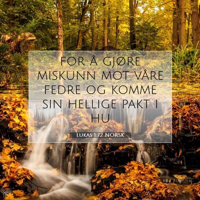 Picture 07 - Lukas 1:72 NORSK - for å gjøre miskunn mot våre fedre og komme - Bible Verse Picture