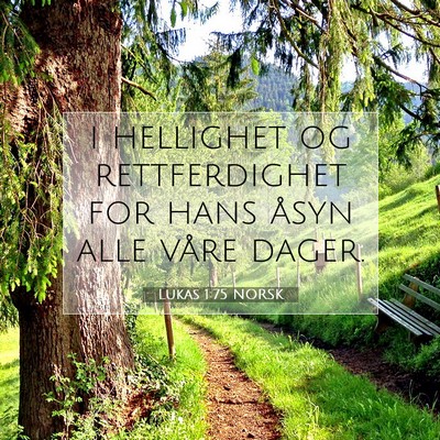 Picture 07 - Lukas 1:75 NORSK - i hellighet og rettferdighet for hans åsyn alle - Bible Verse Picture