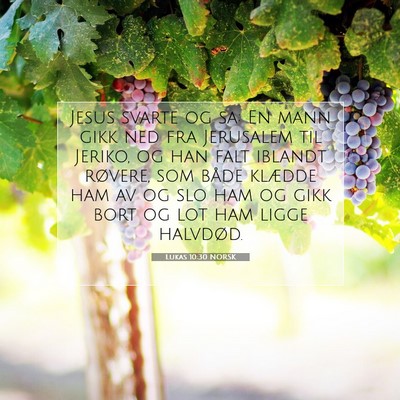 Picture 07 - Lukas 10:30 NORSK - Jesus svarte og sa: En mann gikk ned fra - Bible Verse Picture