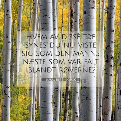 Picture 07 - Lukas 10:36 NORSK - Hvem av disse tre synes du nu viste sig som den - Bible Verse Picture