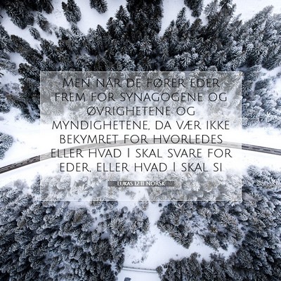 Picture 07 - Lukas 12:11 NORSK - Men når de fører eder frem for synagogene og - Bible Verse Picture
