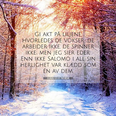 Picture 07 - Lukas 12:27 NORSK - Gi akt på liljene, hvorledes de vokser: de - Bible Verse Picture