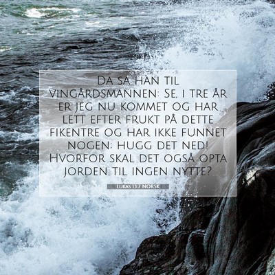 Picture 07 - Lukas 13:7 NORSK - Da sa han til vingårdsmannen: Se, i tre år er - Bible Verse Picture