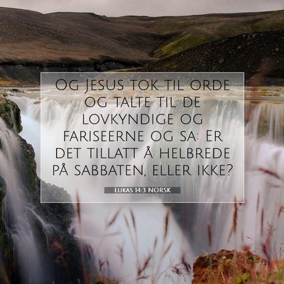 Picture 07 - Lukas 14:3 NORSK - Og Jesus tok til orde og talte til de lovkyndige - Bible Verse Picture
