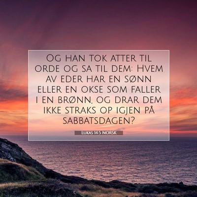Picture 07 - Lukas 14:5 NORSK - Og han tok atter til orde og sa til dem: Hvem av - Bible Verse Picture