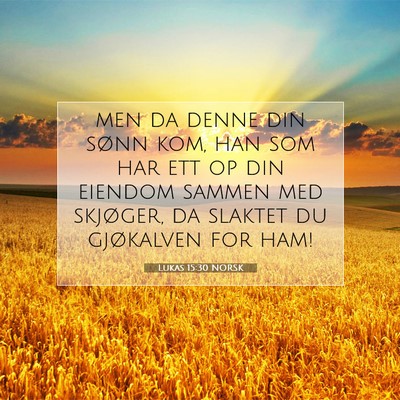 Picture 07 - Lukas 15:30 NORSK - men da denne din sønn kom, han som har ett op - Bible Verse Picture