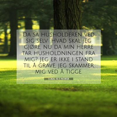 Picture 07 - Lukas 16:3 NORSK - Da sa husholderen ved sig selv: Hvad skal jeg - Bible Verse Picture