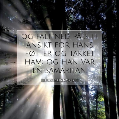 Picture 07 - Lukas 17:16 NORSK - og falt ned på sitt ansikt for hans føtter og - Bible Verse Picture