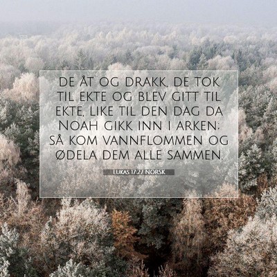 Picture 07 - Lukas 17:27 NORSK - de åt og drakk, de tok til ekte og blev gitt til - Bible Verse Picture