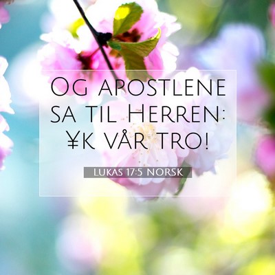 Picture 07 - Lukas 17:5 NORSK - Og apostlene sa til Herren: ¥k vår - Bible Verse Picture