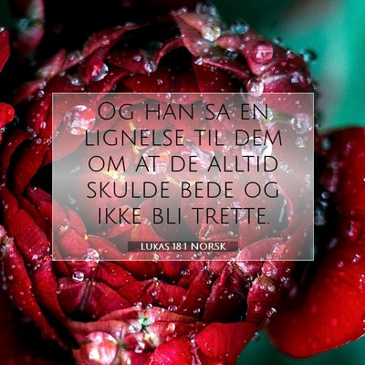 Picture 07 - Lukas 18:1 NORSK - Og han sa en lignelse til dem om at de alltid - Bible Verse Picture