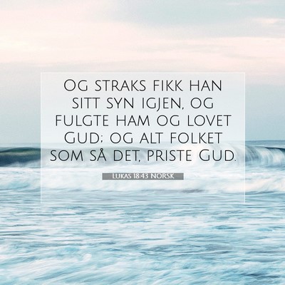 Picture 07 - Lukas 18:43 NORSK - Og straks fikk han sitt syn igjen, og fulgte ham - Bible Verse Picture