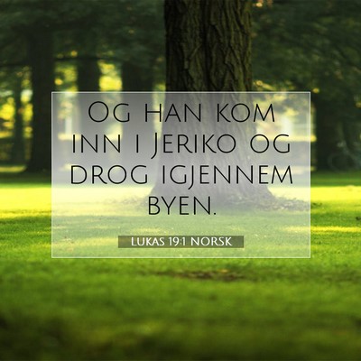Picture 07 - Lukas 19:1 NORSK - Og han kom inn i Jeriko og drog igjennem - Bible Verse Picture