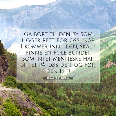 Picture 07 - Lukas 19:30 NORSK - Gå bort til den by som ligger rett for oss! Når - Bible Verse Picture