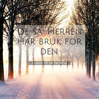 Picture 07 - Lukas 19:34 NORSK - De sa: Herren har bruk for - Bible Verse Picture