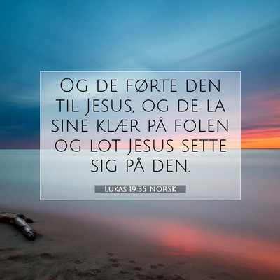 Picture 07 - Lukas 19:35 NORSK - Og de førte den til Jesus, og de la sine klær - Bible Verse Picture