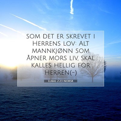 Picture 07 - Lukas 2:23 NORSK - som det er skrevet i Herrens lov: Alt mannkjønn - Bible Verse Picture