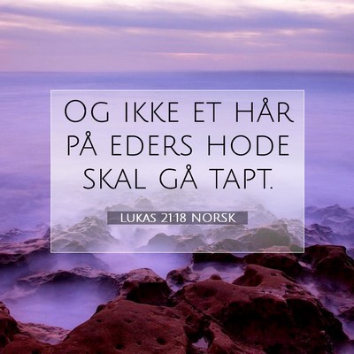 Picture 07 - Lukas 21:18 NORSK - Og ikke et hår på eders hode skal gå - Bible Verse Picture