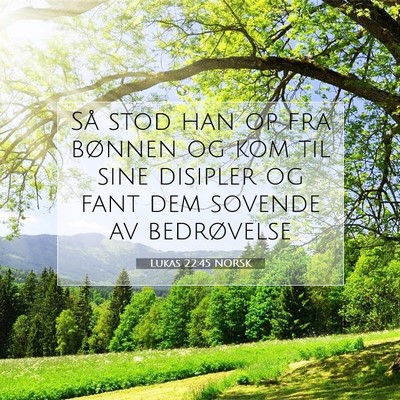 Picture 07 - Lukas 22:45 NORSK - Så stod han op fra bønnen og kom til sine - Bible Verse Picture