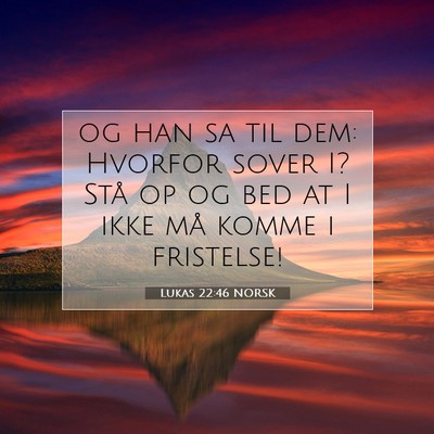 Picture 07 - Lukas 22:46 NORSK - og han sa til dem: Hvorfor sover I? Stå op og - Bible Verse Picture